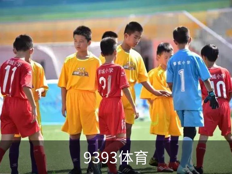 了解9393体育